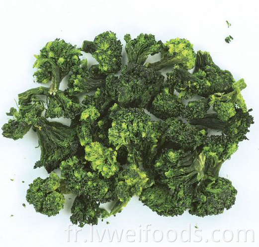 Broccoli déshydraté 5 5 mm Dehydrated Broccoli 5 5mm